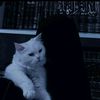 arishfa.akhtar