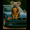 hkoala2