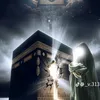 abo.dg1