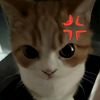 fahmidatasnim29