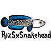 rizsssxsnakehead