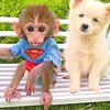 Baby Monkey