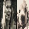 ⋆౨ৎ˚⟡˖ ࣪