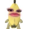 cegyljaeminn