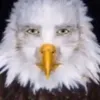 iamsteve69_