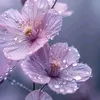 huda.alameer