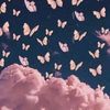 shahd.yasser7576