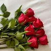 user8661671823377