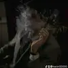 karzn.500