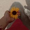 zozo_____1237