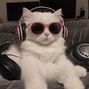 beatvibelab
