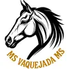 MS VAQUEJADA MS