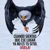 jhon.c986