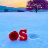 soso.11007