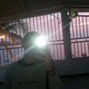 tubarao_66