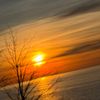 landscapercharitymagda