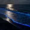 hajar_555h