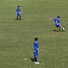 dani33316