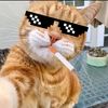 rizzmazz7