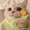 lp62thcsnguynhin