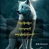 myochitzaw857