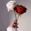user82136185430