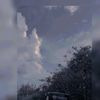 sophia.albert42