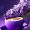 phuong.pham596