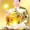 .tm.linh.user18543
