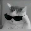.debrong