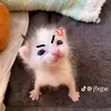 ebe_duonghihihi