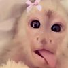 daniella.gmez