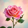 pinkskkss
