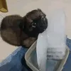 nvqnvqnvq1