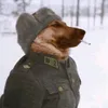 lieutenantgreek