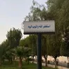 roza.._07