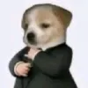 dr.doguin
