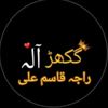 raja.qasim.ali5.12