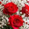 user826301381700