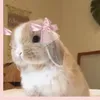 sophie.mam0