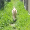 nitou176
