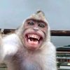 prajjen_king