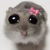 xrcud