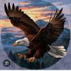 abdou_tr16