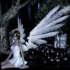 userr_midnightseraph