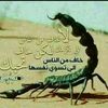 user8067829100672