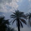 mohamed.515643