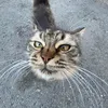 sonakluhga