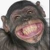 monkey363300