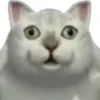 gyuu.bb1